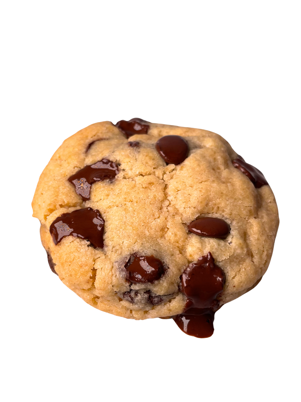 Delicious chocolate chip cookie close up